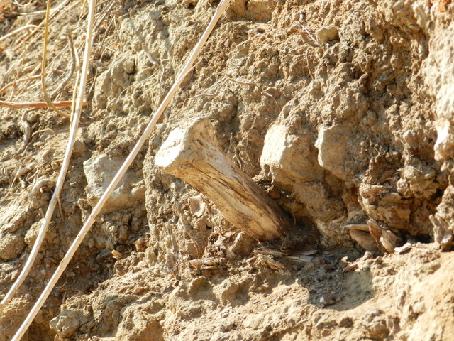 DSCN1672